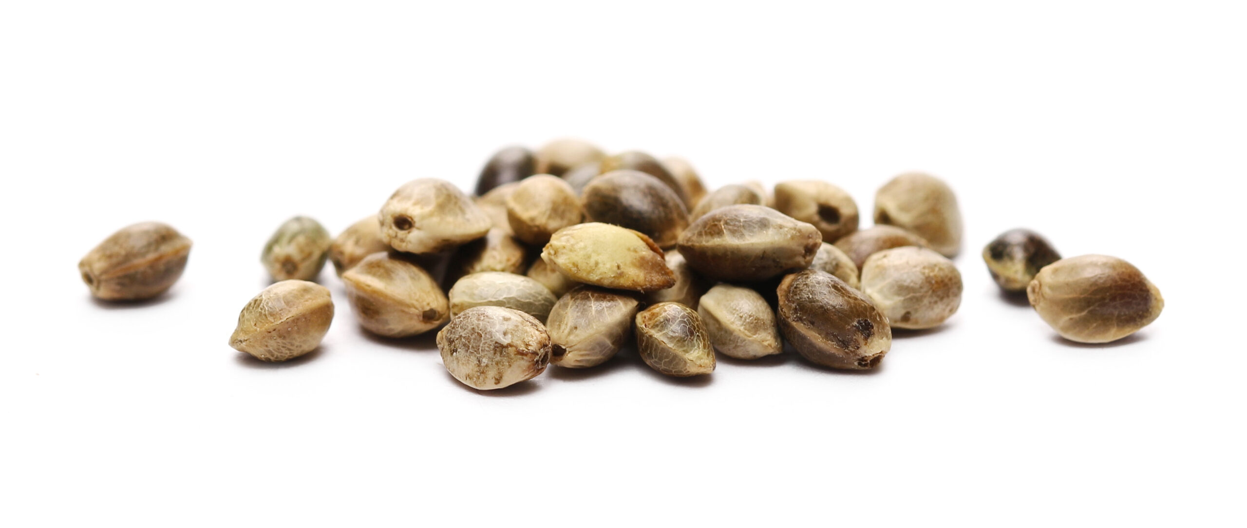 Top 5 Red Flags for Bad Seeds (And What to Look for Instead)
