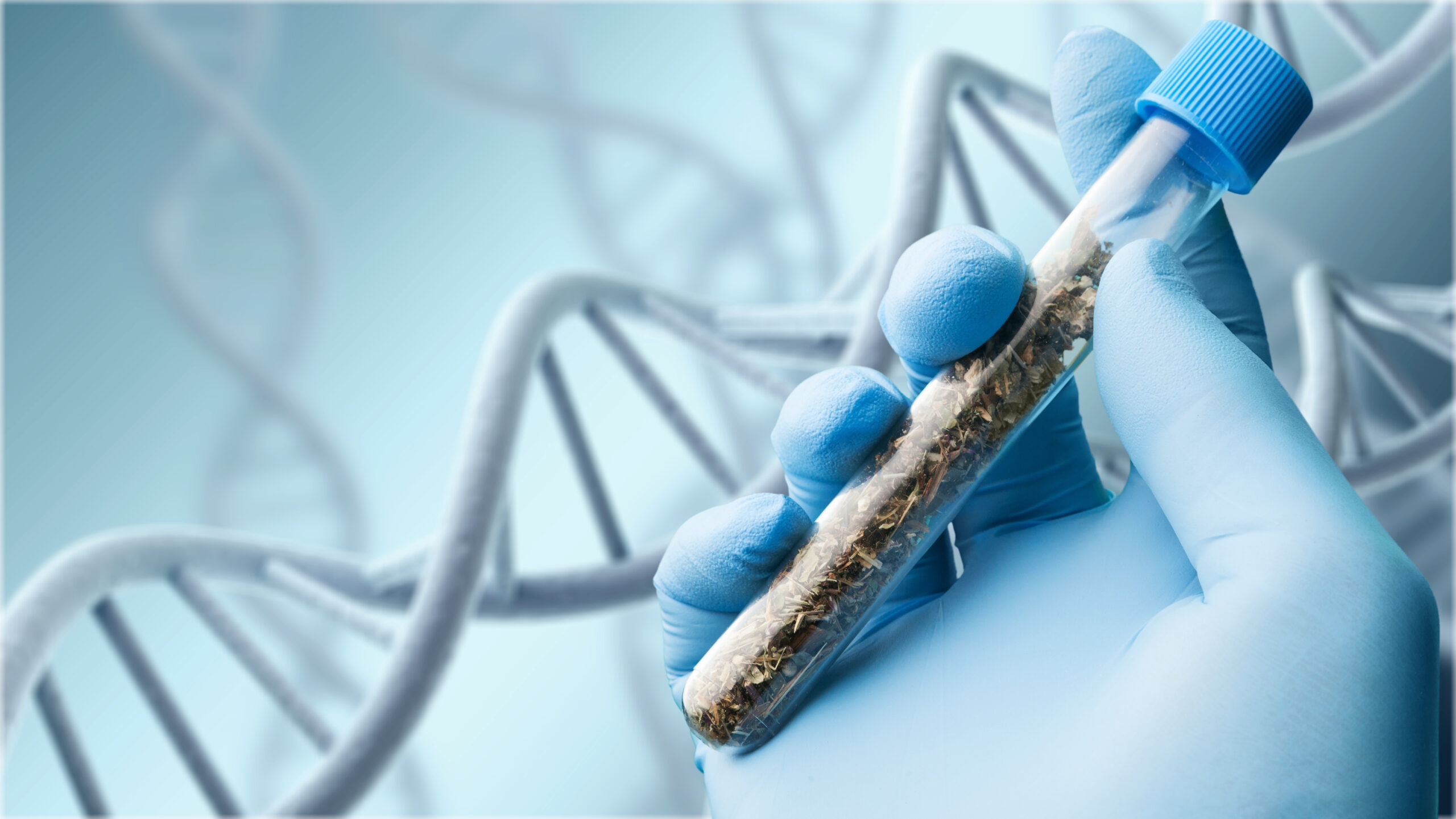 Genetics 101: What Makes a Strain a Strain?