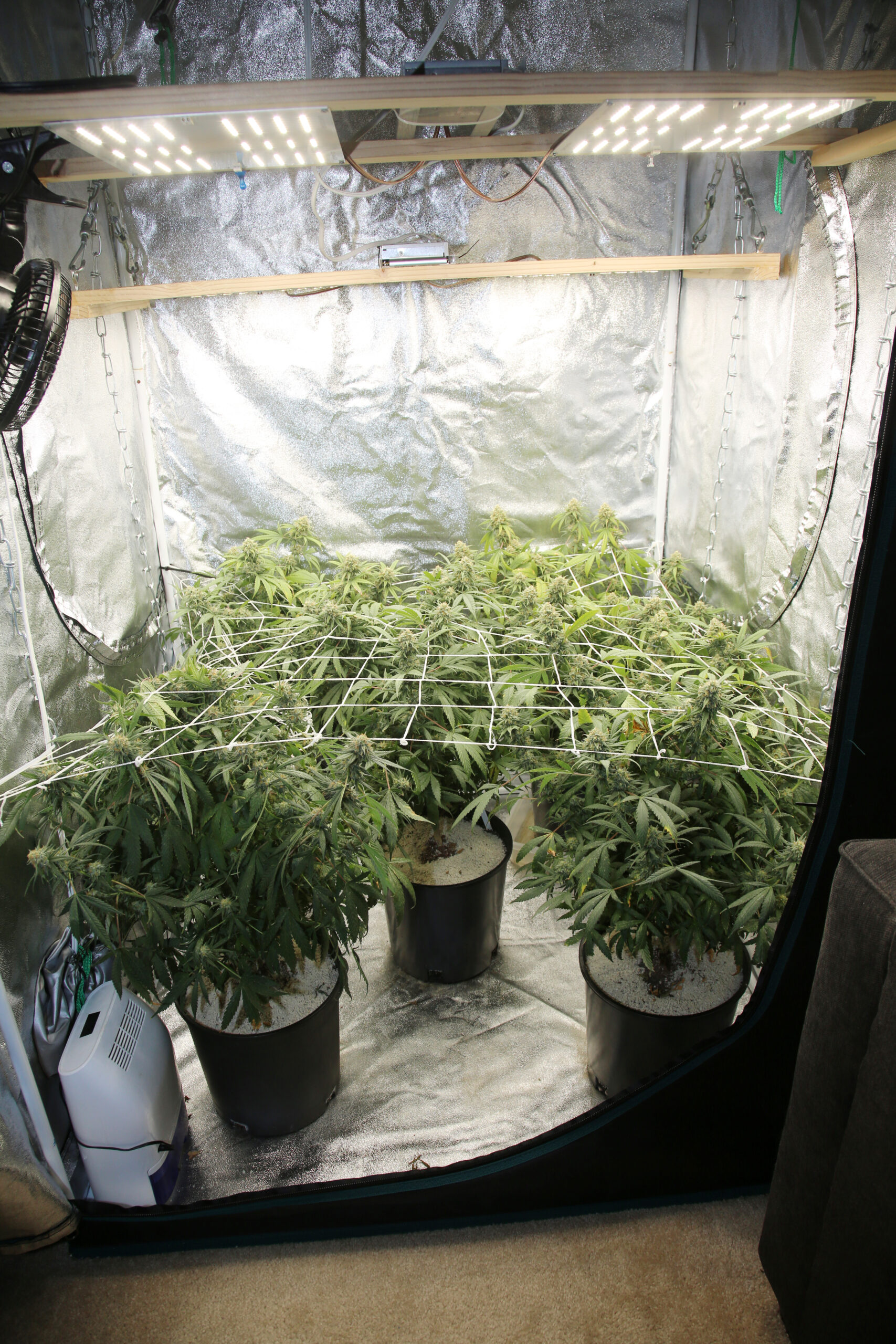 Budroom Banter Blog