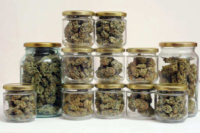 Are You Ready for Croptober? How to Harvest Cannabis Successfully